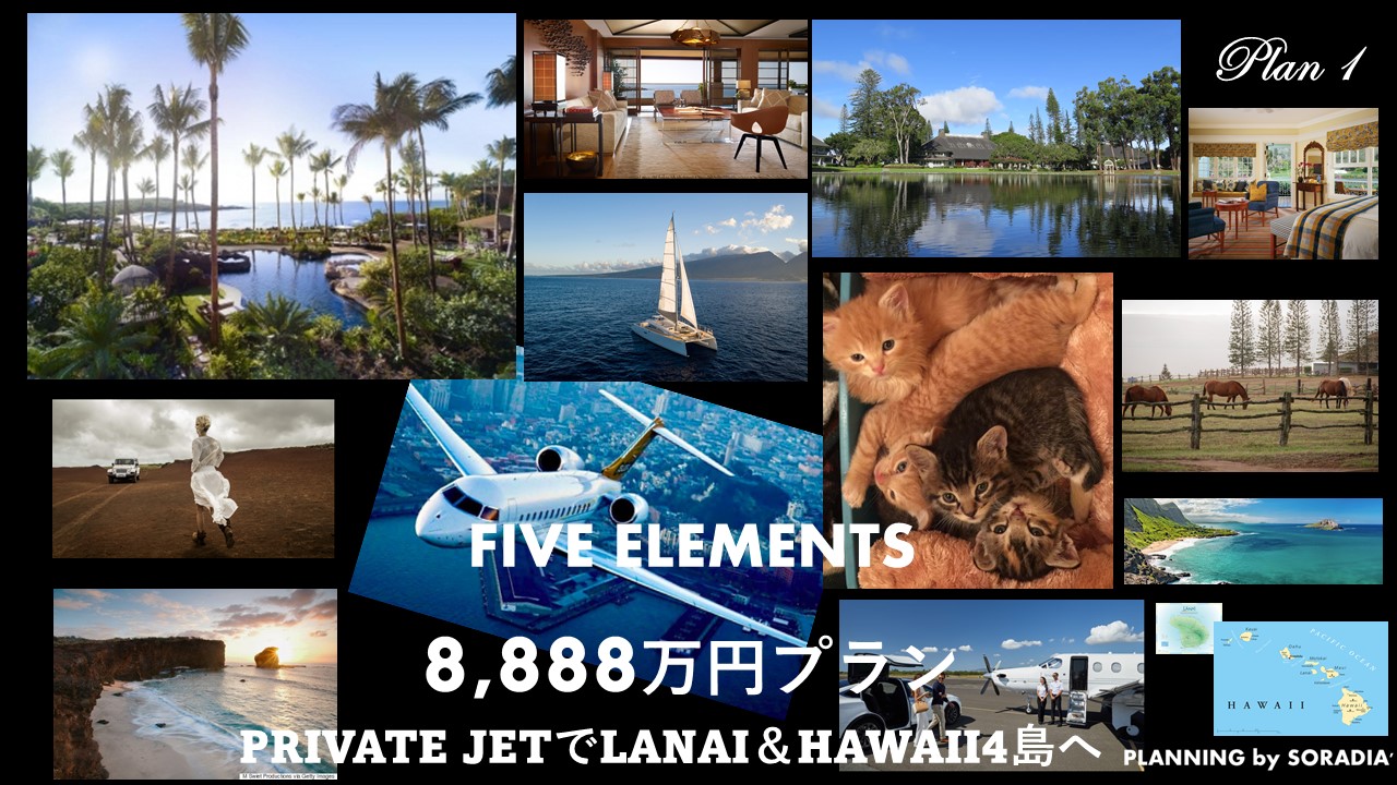 FIVE ELEMENTS HAWAII